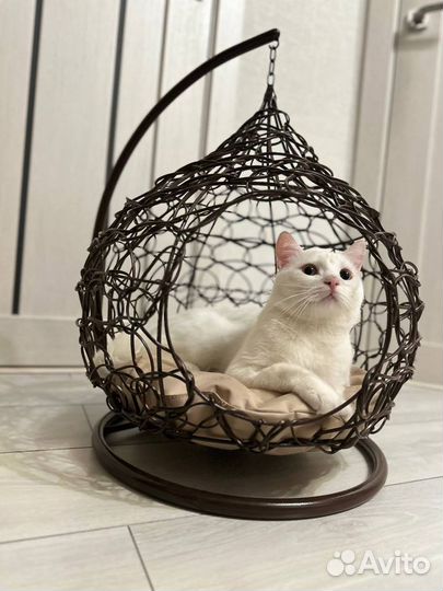 Подвесной кокон домик для кошечек и собачек