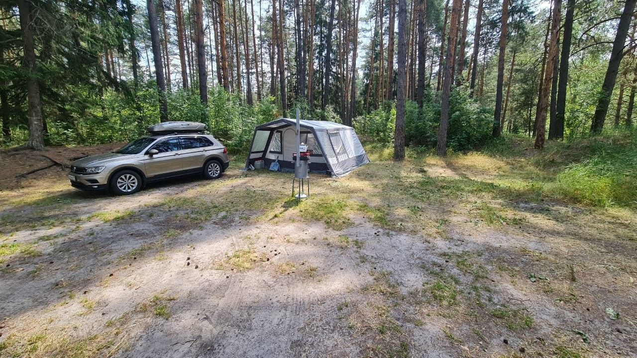 Volkswagen Tiguan: фото владельца