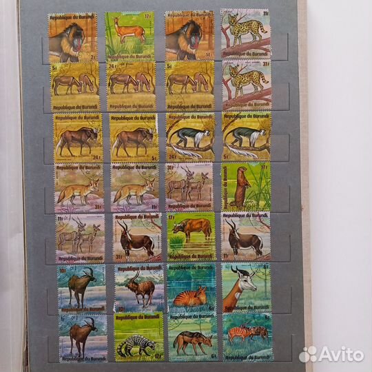 Почтовые марки и блоки фауна
