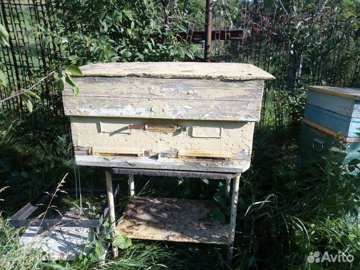 Улей для пчел бу