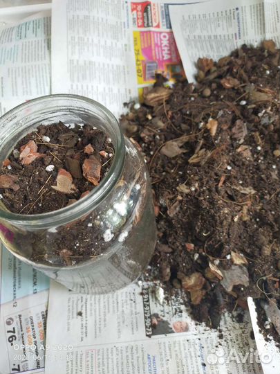 Качественный грунт для Антуриумов и Орхидей