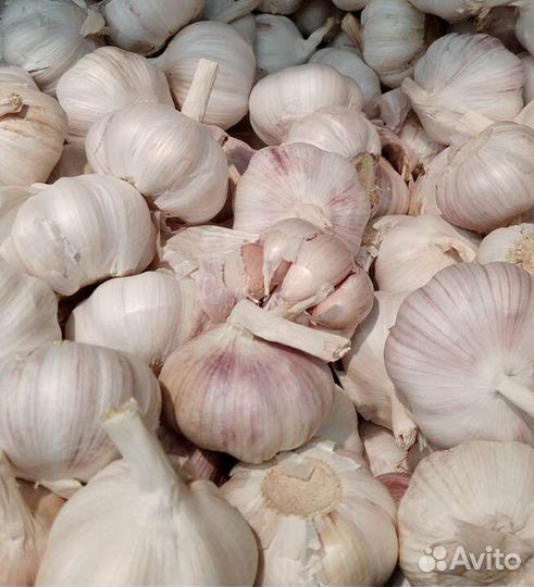 Чеснок