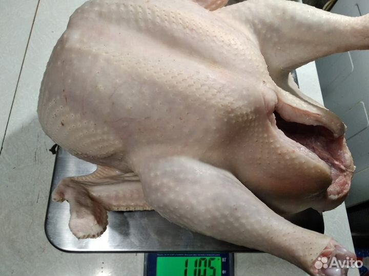 Мясо домашней птицы