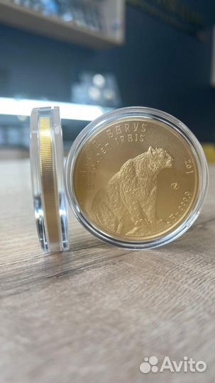 Золотая монета Казахстана 