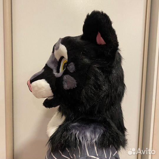 Фурсьют хорёк