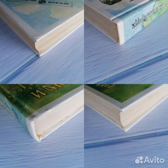 Книга Муфта полботинка и моховая борода 1994