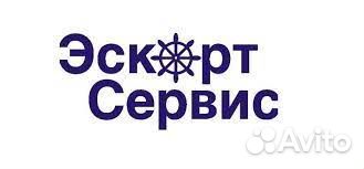 Подменный Мерчендайзер (г. Мытищи)