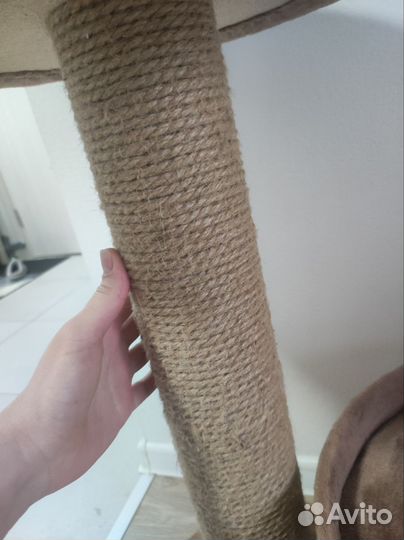 Когтеточка