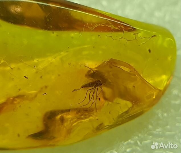 Янтарь природный с инклюзами