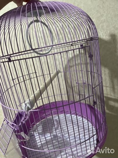 Клетка для попугая корелла