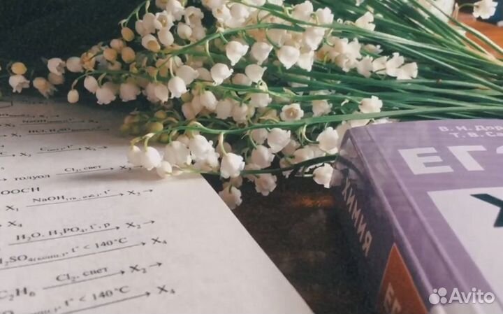 Репетитор начальных классов, математики и химии