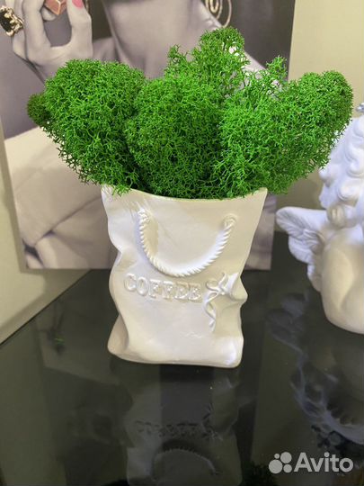 Стабилизированный мох в кашпо