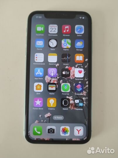 iPhone 11