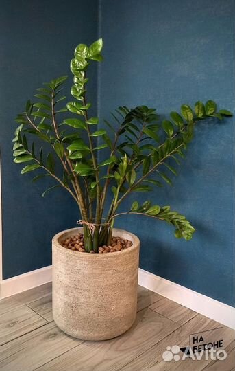 Кашпо, Вазоны, горшки для цветов