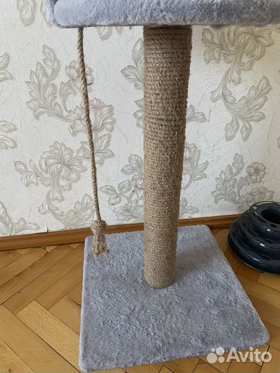 Когтеточка