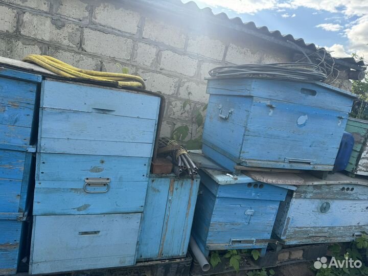 Улей для пчел бу