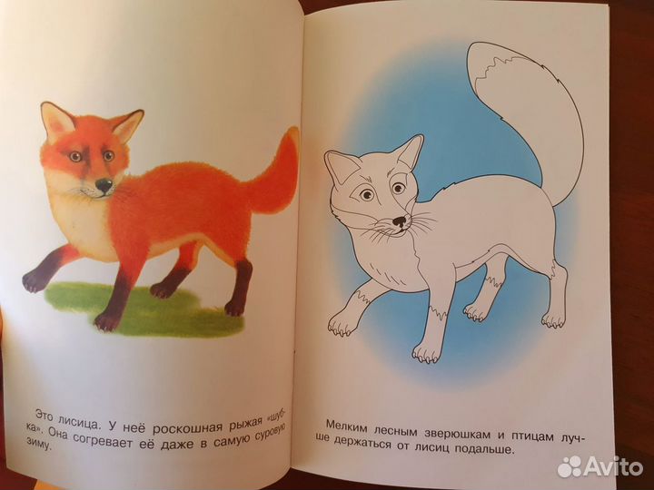 Обучающие пособия для детей