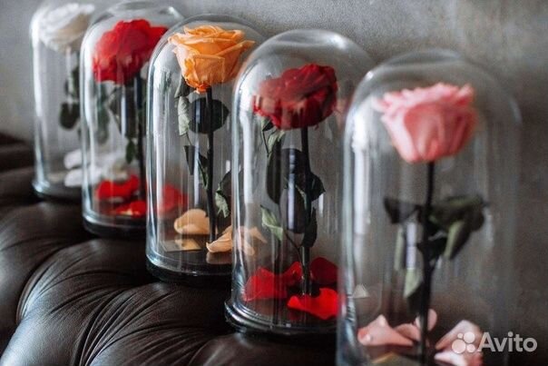 Живая Роза в колбе в стиле «Красавицы и чудовища
