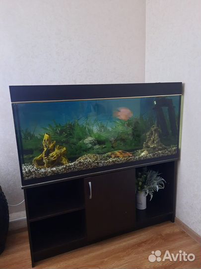 Аквариум + тумбочка которая снизу