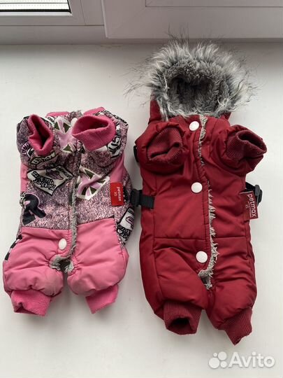 Одежду для маленькой собачки