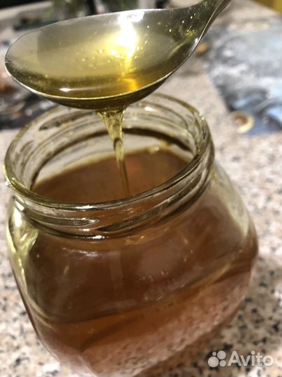 Мёд молодой. Луговой