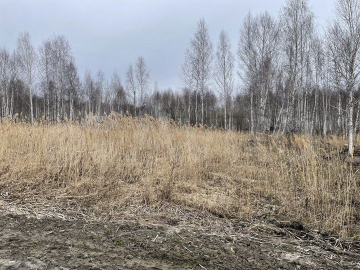 Участок 6,5 сот. (СНТ, ДНП)