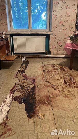 Уборка после смерти, уборка после пожара, потопа