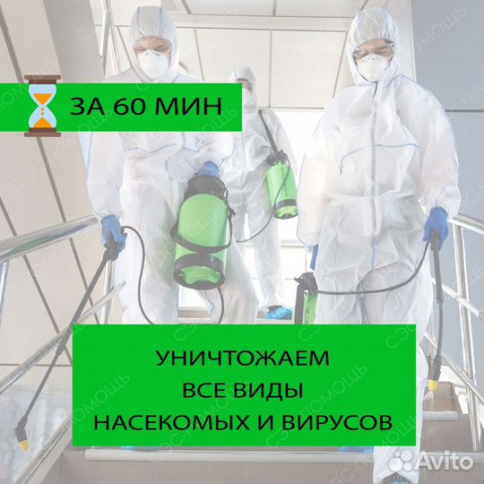 Уничтожение клопов тараканов мышей муравьёв клещей