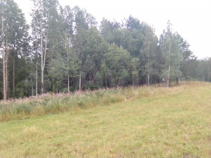 Участок 3,6 га (СНТ, ДНП)