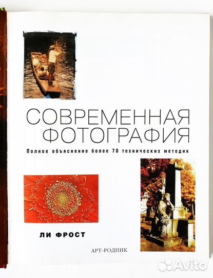 Современная фотография. Ли Фрост