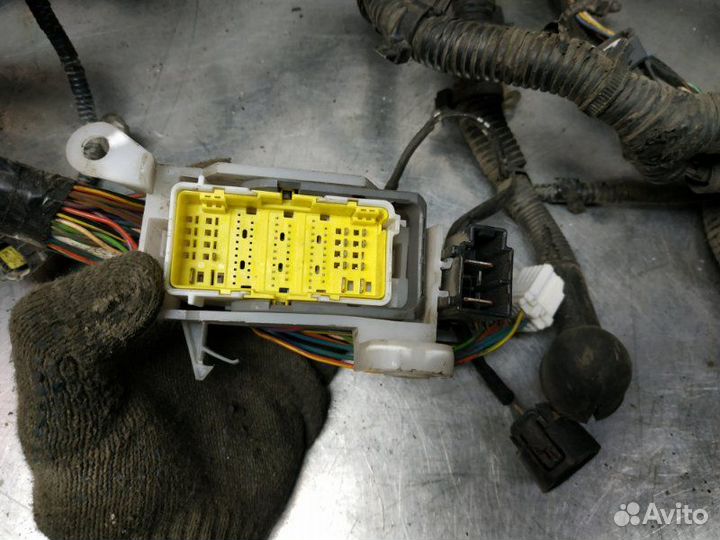 Проводка двс Nissan Qashqai+2 JJ10E MR20DE 2010