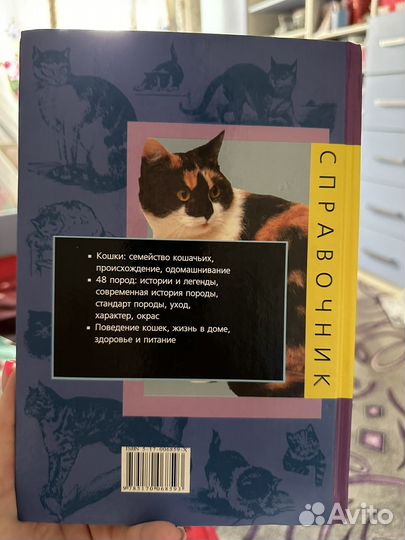Книжка про кошек