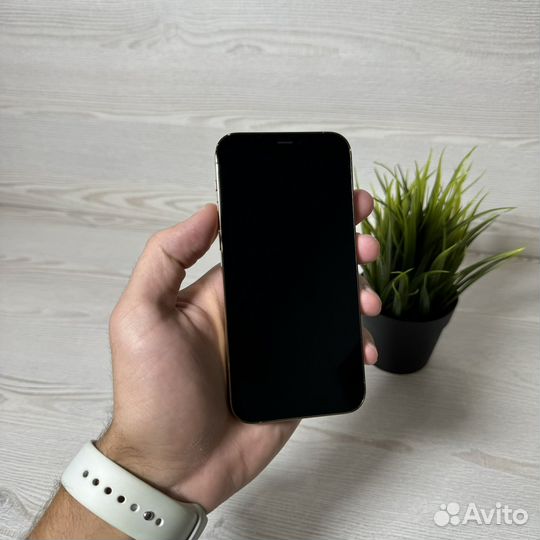 iPhone 12 Pro, 256 ГБ