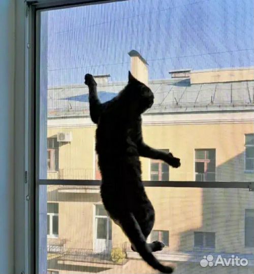 Москитная Сетка Антикошка