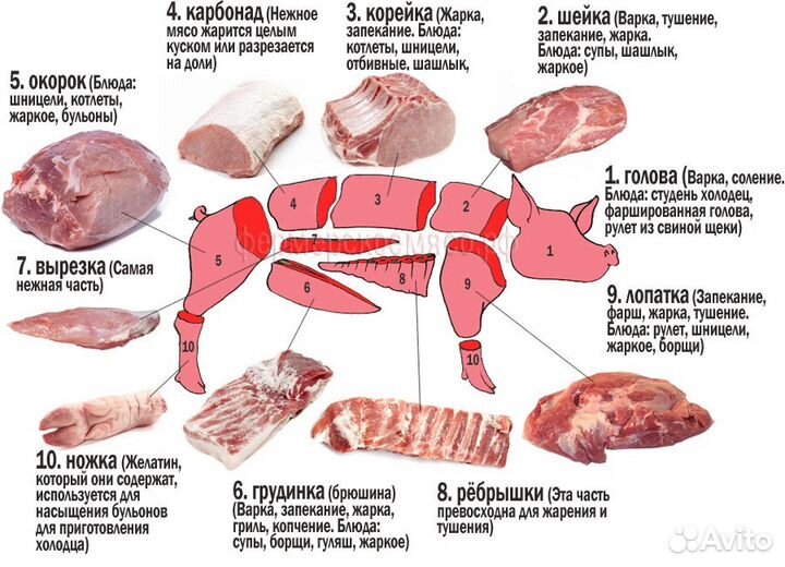 Мясо Свинина свежак
