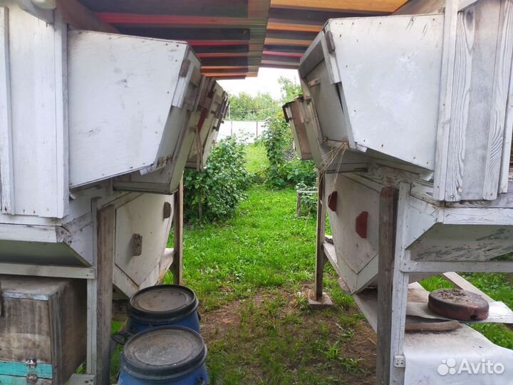 Клетки для кроликов