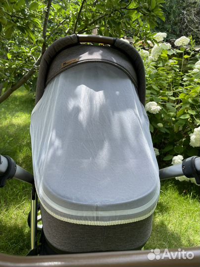 Коляска Espiro Next Avenue 2 в 1