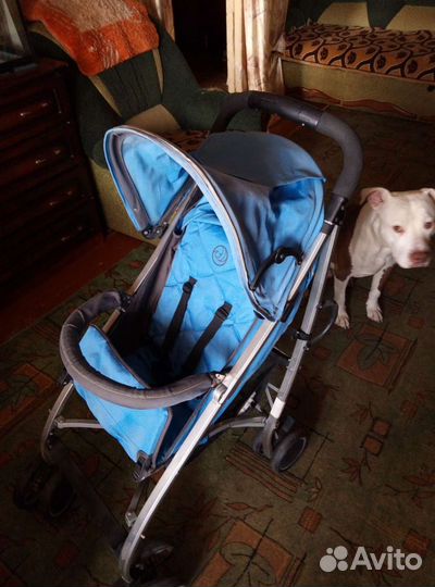 Прогулочная коляска трость