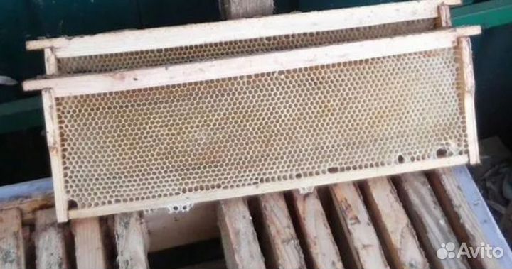 Рамки с вощиной сушь магазинная