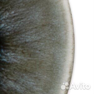 Тарелка столовая yong monte