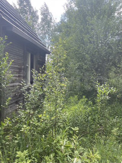 Участок 10 сот. (СНТ, ДНП)