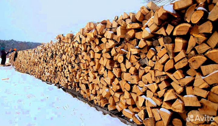 Дрова подсушенные