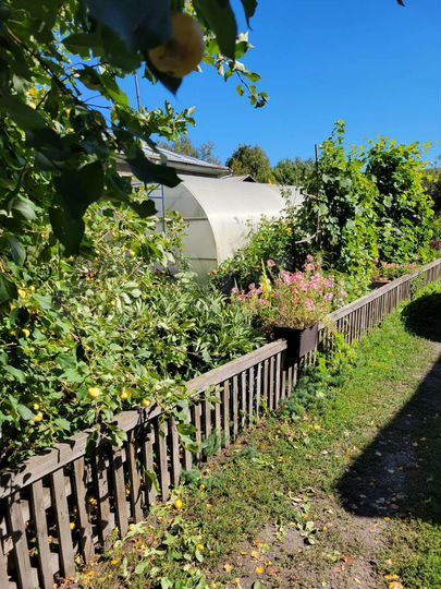 Дом 73 м² на участке 21 сот.