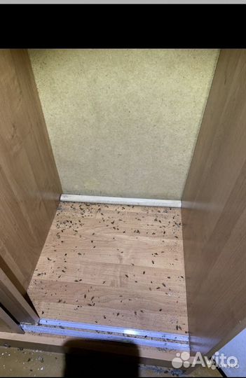 Уничтожение клопов,блох,муравьёв,травля тараканов