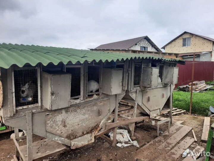 Клетка для кроликов