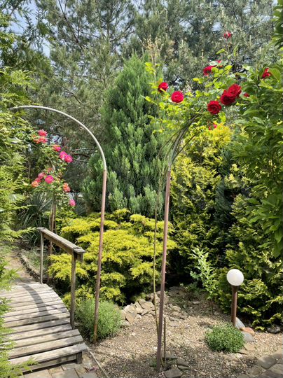 Дом 25 м² на участке 12 сот.