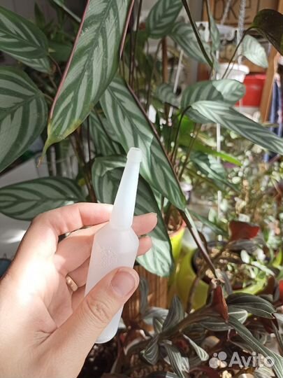 Пластмассовые флакончики 35 мл бесплатно (120 шт.)