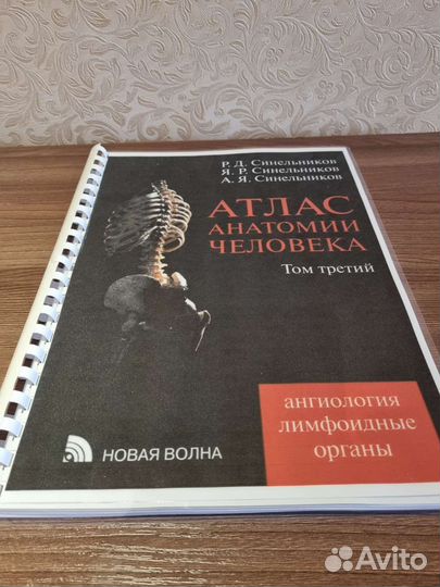 Атлас Анатомии Человека