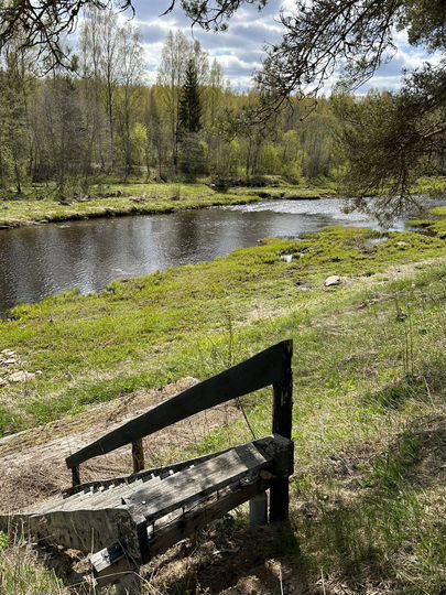 Участок 32 сот. (ИЖС)