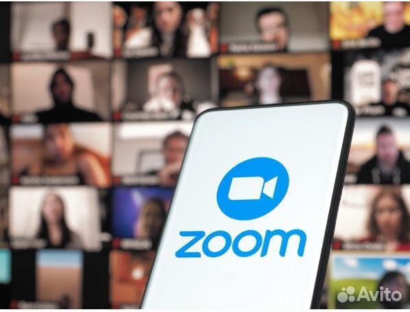 Zoom подписка 1/12 Мес Pro/Бизнес